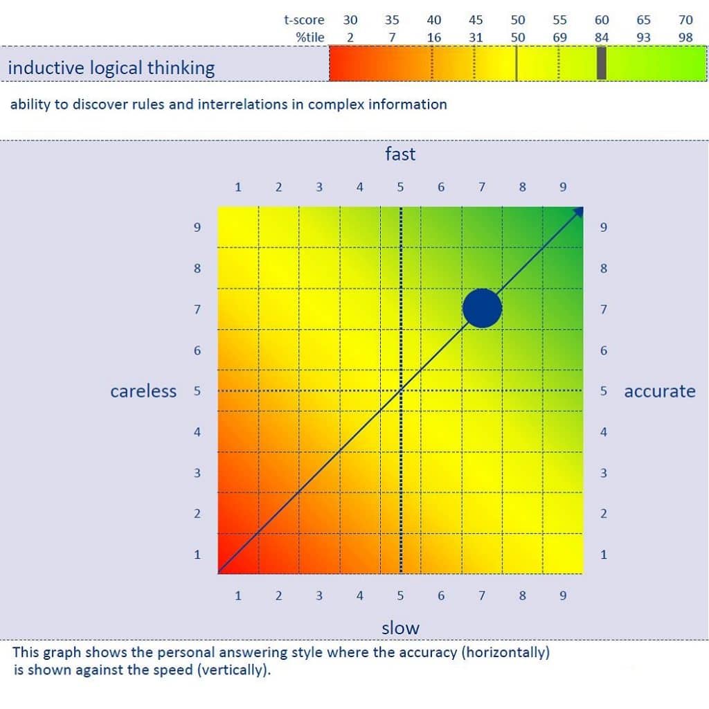 Voorbeeld Capaciteitentest Bij Starcheck   StarCheck   Talent Assessment