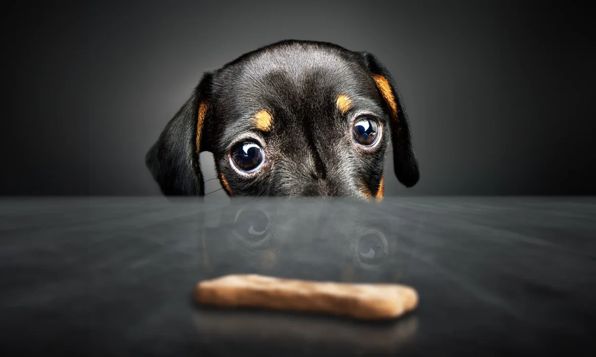 Does top talent pass you by