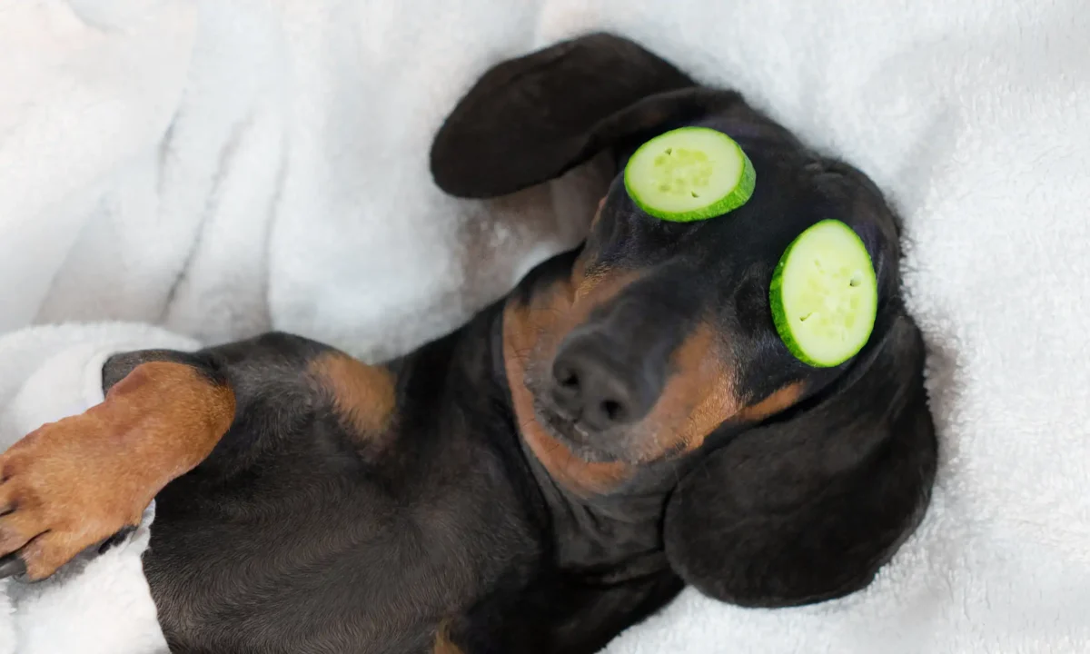 Someone who broods is not stress resistant