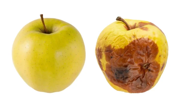 professional selection