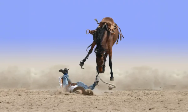 preparing for an assessment